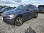 ALFA ROMEO STELVIO photo