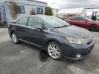 LEXUS HS 250H photo