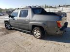 Lot #2938371717 2007 HONDA RIDGELINE