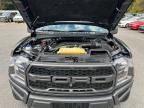 FORD F150 RAPTO photo