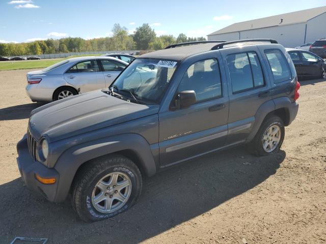 JEEP LIBERTY SP