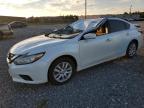 2016 NISSAN ALTIMA 2.5 - 1N4AL3AP1GN310153