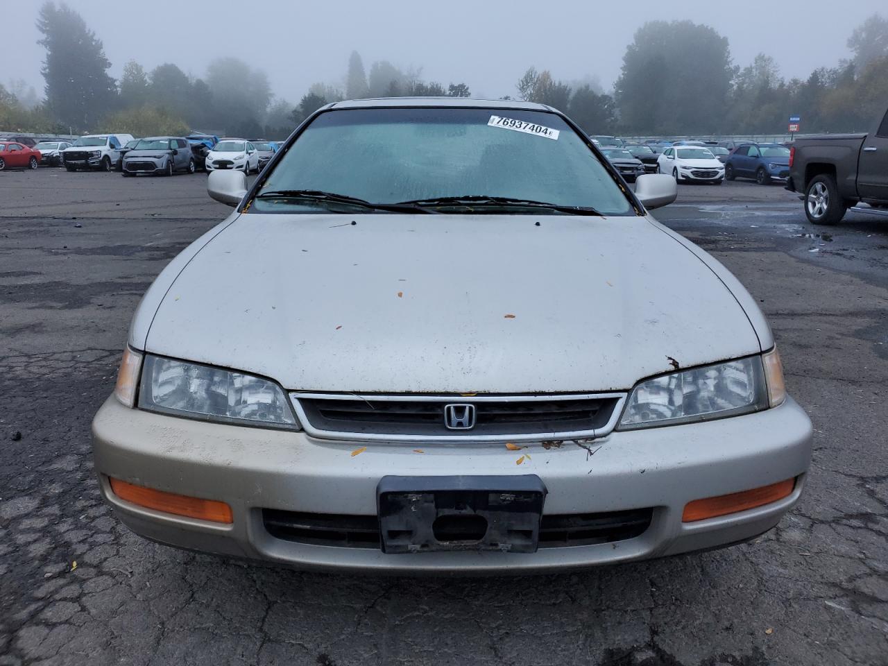 Lot #2989333572 1996 HONDA ACCORD EX