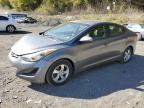 HYUNDAI ELANTRA SE photo