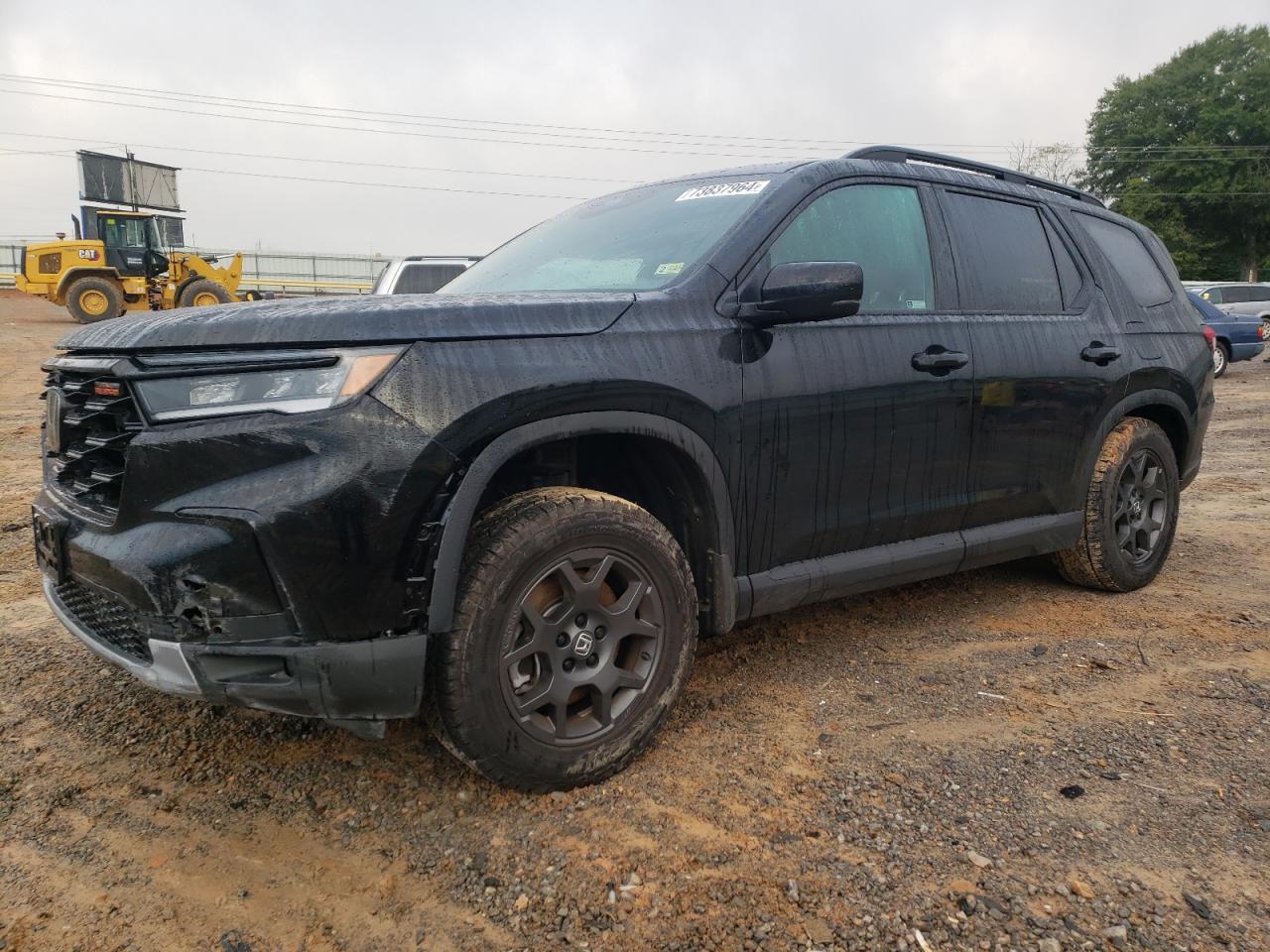 Lot #2978982634 2024 HONDA PILOT TRAI