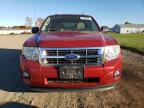 FORD ESCAPE XLT photo