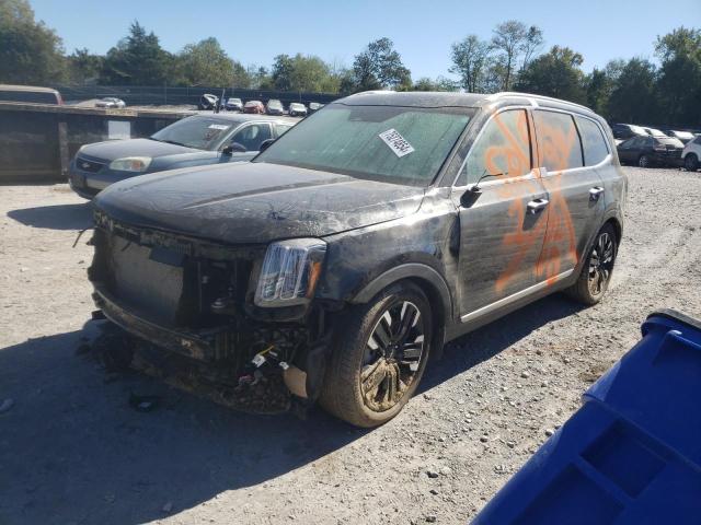 2023 KIA TELLURIDE - 5XYP5DGC0PG381182