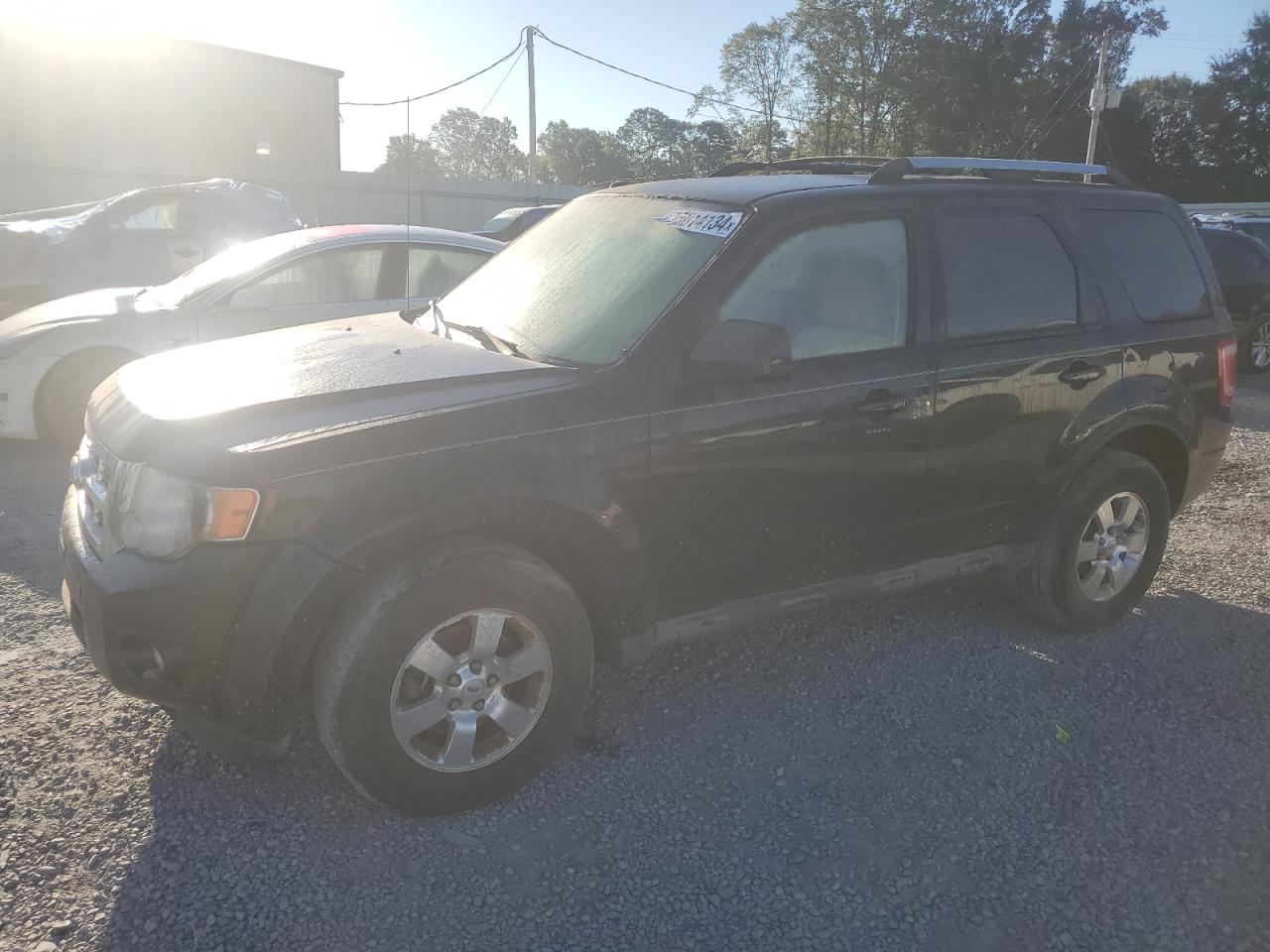 Lot #2947461943 2011 FORD ESCAPE LIM