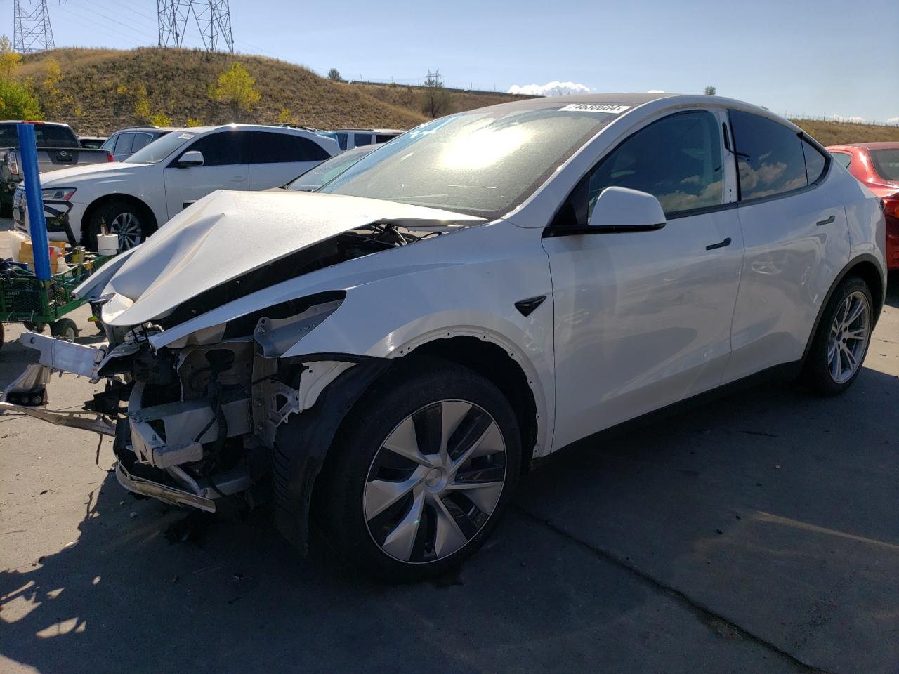 Lot #2960211112 2023 TESLA MODEL Y