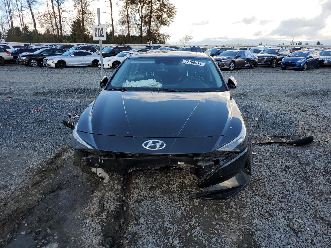 Lot #2972533998 2023 HYUNDAI ELANTRA LI