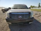 Lot #3025206676 2008 CADILLAC ESCALADE E