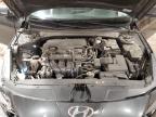 HYUNDAI ELANTRA SE photo