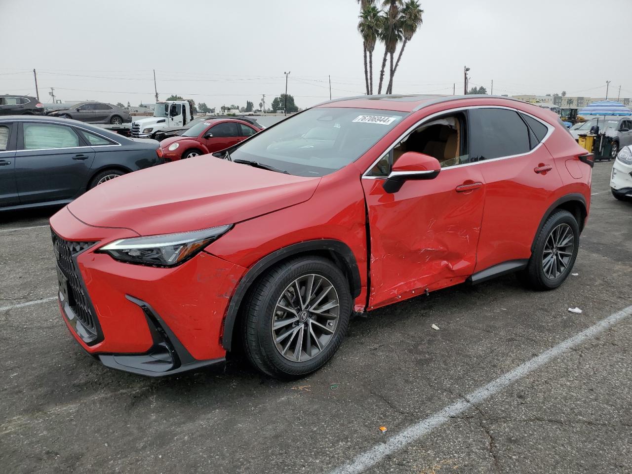 Lot #3023387281 2024 LEXUS NX 250 BAS