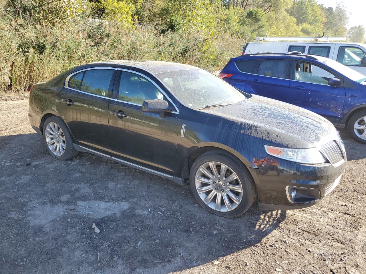 Lot #2925762415 2011 LINCOLN MKS