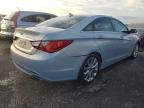 Lot #3027014816 2013 HYUNDAI SONATA SE