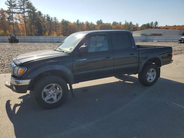 Global Auto Auctions: 2002 TOYOTA TACOMA DOU