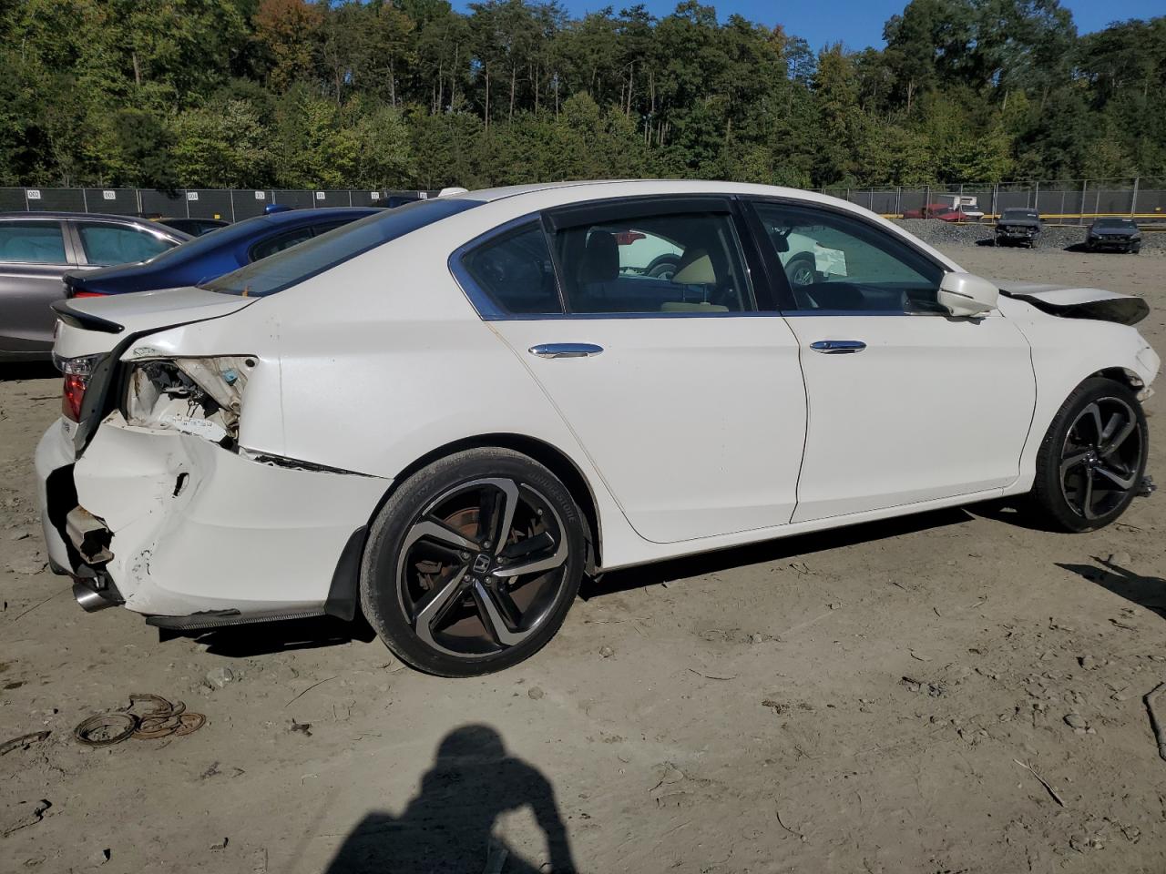 Lot #3027012762 2014 HONDA ACCORD EXL