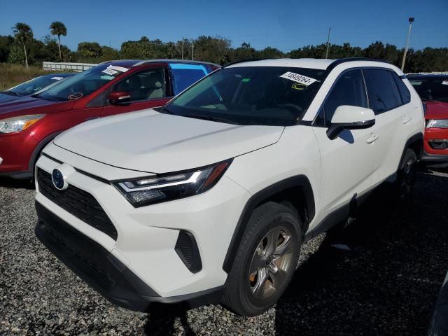 2023 TOYOTA RAV4 XLE #2989157806