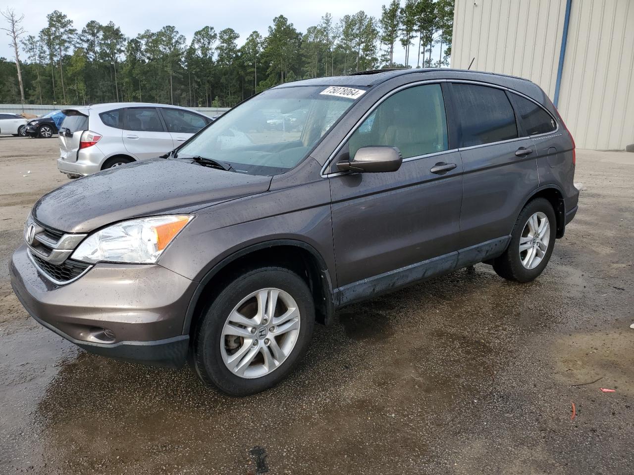 Lot #2912143564 2010 HONDA CR-V EXL