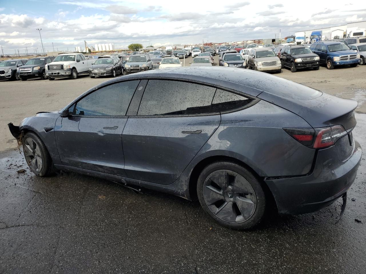 Lot #2967684360 2022 TESLA MODEL 3