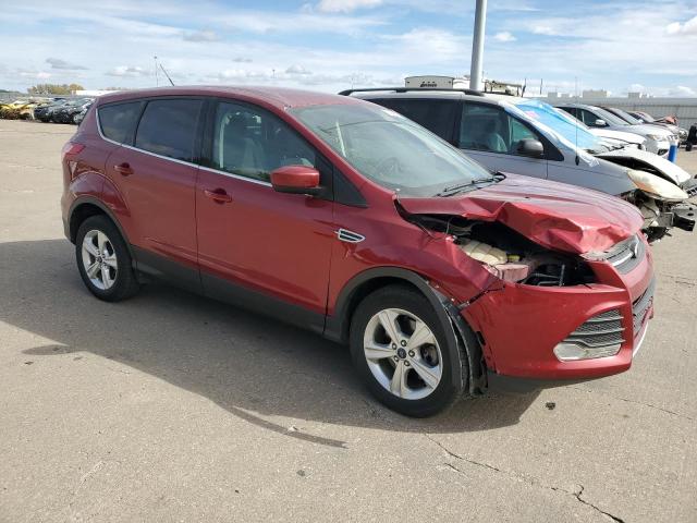 VIN 1FMCU0G93EUE52493 2014 Ford Escape, SE no.4