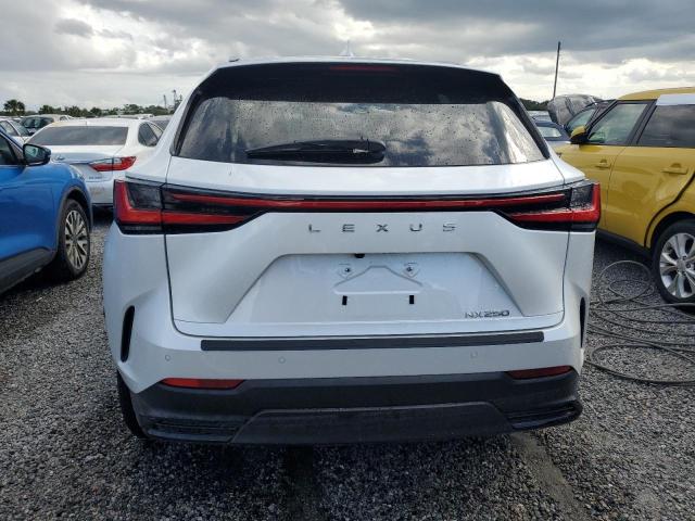 2024 LEXUS NX 250 PRE 2T2GDCAZ6RC014369