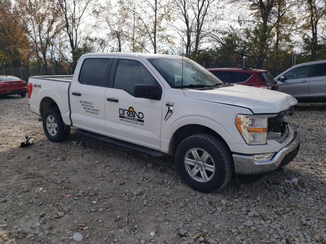 2022 FORD F150 SUPER - 1FTFW1E56NFA64843