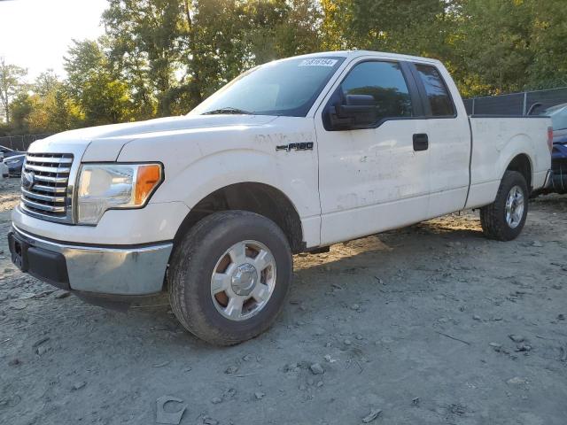 VIN 1FTEX1CM5DFC07220 2013 Ford F-150, Super Cab no.1