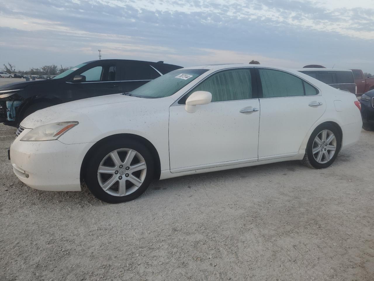 Lot #2994245921 2009 LEXUS ES 350