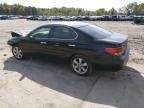 Lot #3030507457 2005 LEXUS ES 330