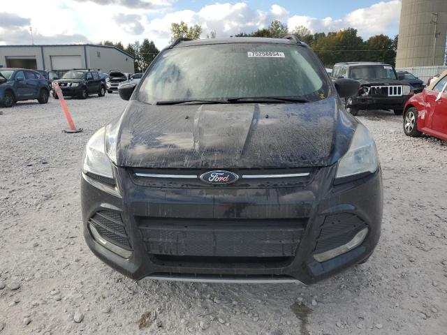 VIN 1FMCU0GX2GUC87330 2016 Ford Escape, SE no.5