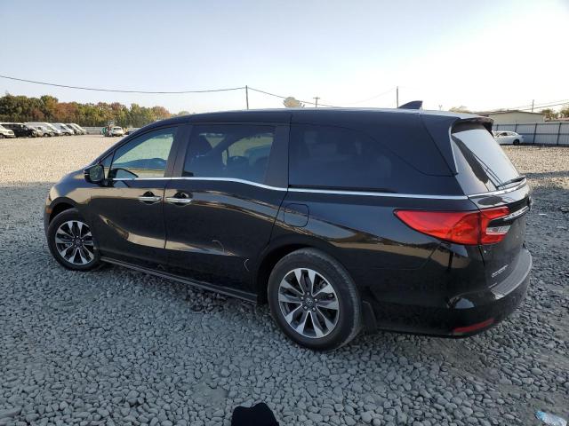 2024 HONDA ODYSSEY EX - 5FNRL6H61RB056117