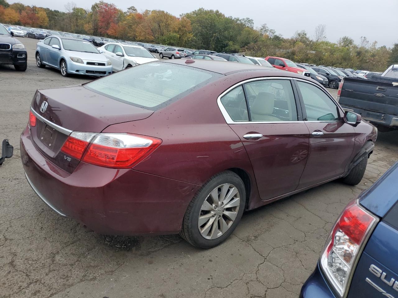 Lot #2974118361 2014 HONDA ACCORD EXL