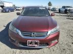 HONDA ACCORD EX photo