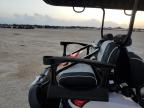 Lot #3027162332 2019 ASPT GOLF CART