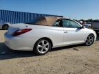 Lot #2960419141 2006 TOYOTA CAMRY SOLA