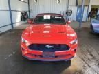 Lot #2957491376 2023 FORD MUSTANG