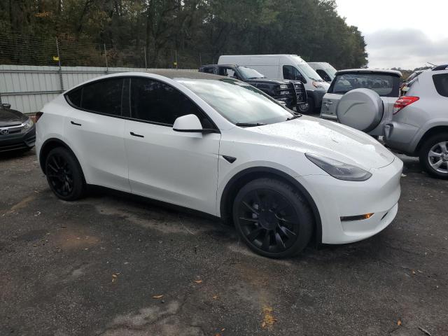 2024 TESLA MODEL Y - 7SAYGDEE3RA261440