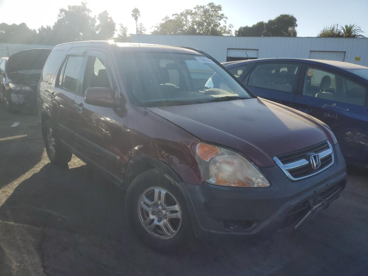 Lot #2993859305 2003 HONDA CR-V EX