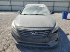 HYUNDAI SONATA SPO photo