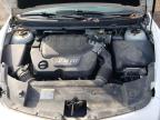 CHEVROLET MALIBU 2LT photo