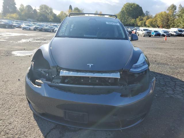 2023 TESLA MODEL Y - 7SAYGDEEXPF598767