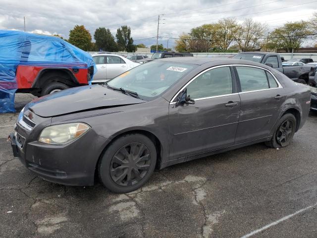 2010 CHEVROLET MALIBU LS 2010