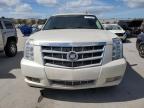 CADILLAC ESCALADE E photo