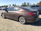 HONDA ACCORD EXL photo