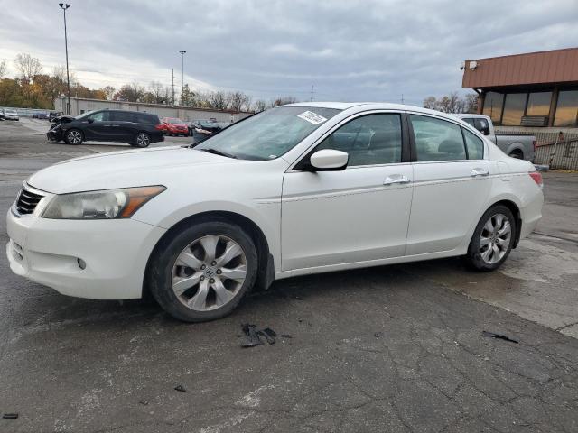 2010 HONDA ACCORD EXL 2010