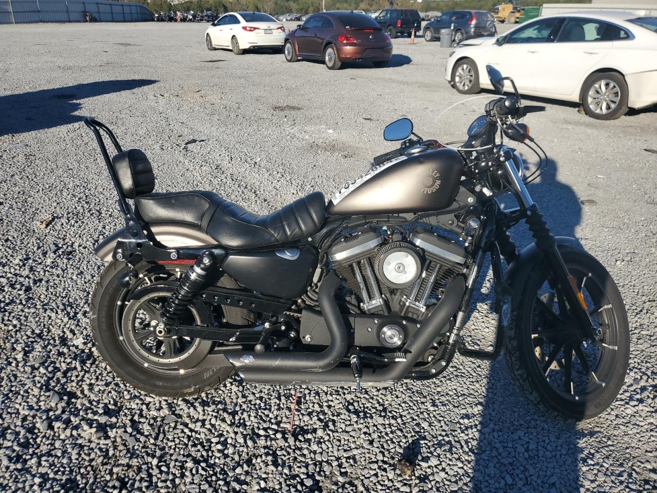 Harley Davidson XL883N / IRON 883 2021 