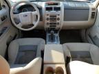 Lot #3028348801 2008 FORD ESCAPE XLT