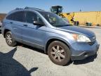 HONDA CR-V EX photo