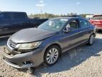 Lot #3006930508 2014 HONDA ACCORD EXL